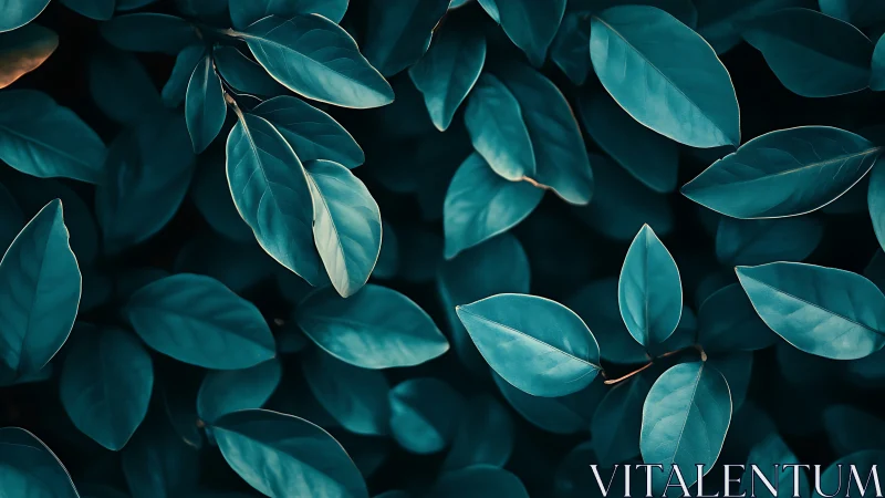 Teal foliage fills the frame in calm, minimal pattern.