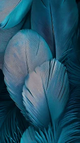 Close-up study of overlapping teal bird feathers.
