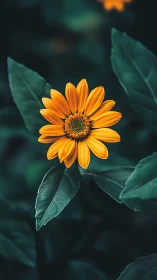 Golden Bloom Whispers: Daisy's Luminous Dance.