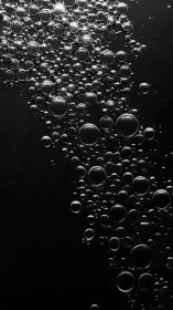 Micro-bubble trajectory cluster in high-contrast liquid interface.