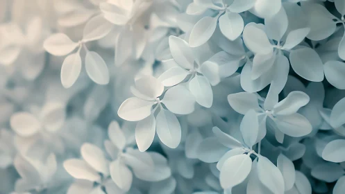 Whispers of frosted petals drifting in a pale dreamscape.