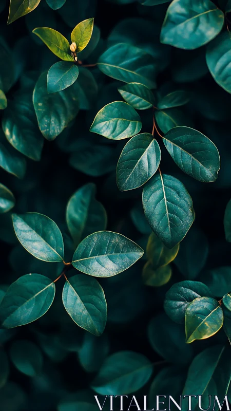 Emerald foliage study with shallow depth and matte texture.