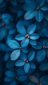 Macro study of teal foliage clusters with shallow depth of field