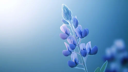 Lupine flower spike with lavender petals against blue gradient background.