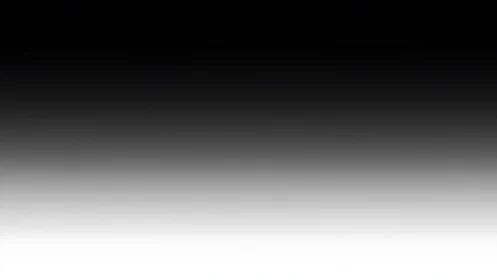 Monochrome vertical gradient dissolving into white field.