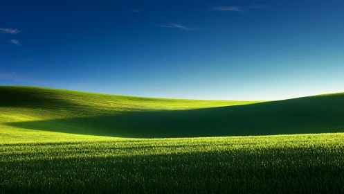 Grass-covered rolling hills under clear blue sky. Period.