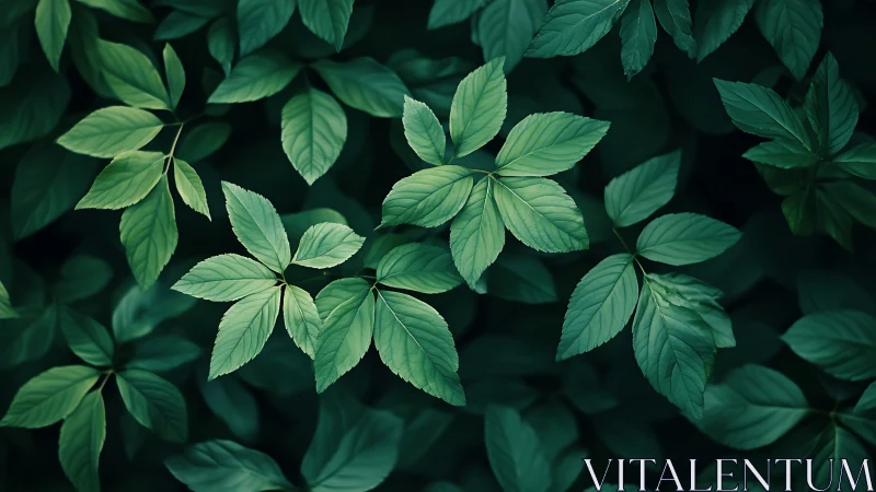 Whispering emerald leaf constellations in forest shade.