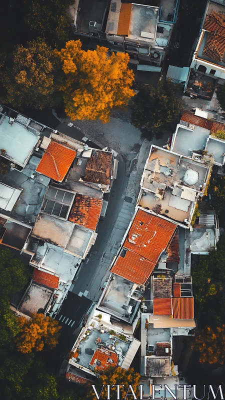 Autumn trees frame narrow street between tiled rooftops.