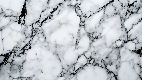 White marble surface shows dense black veining network