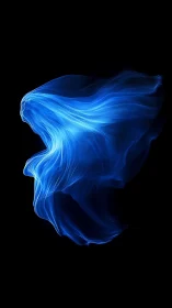 Blue light trails forming fluid abstract structure on black.