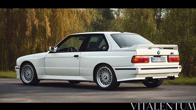 Classic white BMW E30 M3 coupe parked on a forest road.