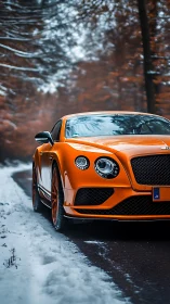 Vibrant orange luxury coupe advances along a snowy forest road