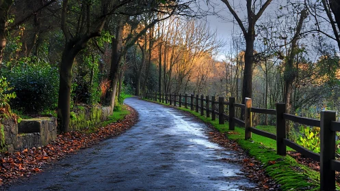 Sunlit forest path curves past mossy fence and stone wall.