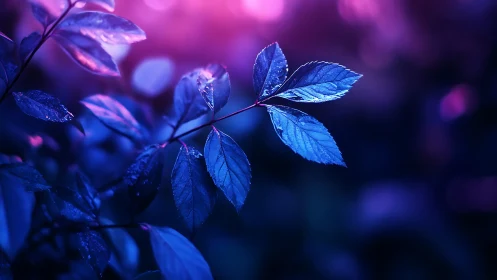 Neon blue leaves glow under vivid magenta bokeh light.