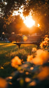 Golden hour park bench with bokeh-rich floral foreground framing.