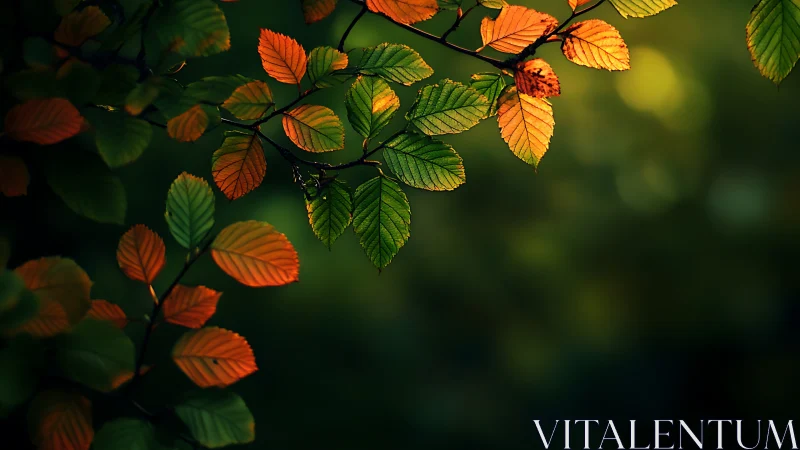 Autumn Leaves on Branch in Soft Natural Light, Moody Forest Style.