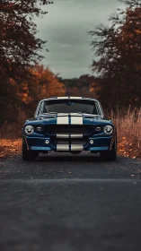 Classic blue muscle car aligns with autumnal roadway symmetrically