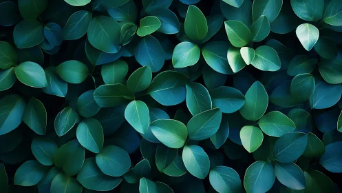 Velvet teal leaf tangle glows like a secret forest floor.