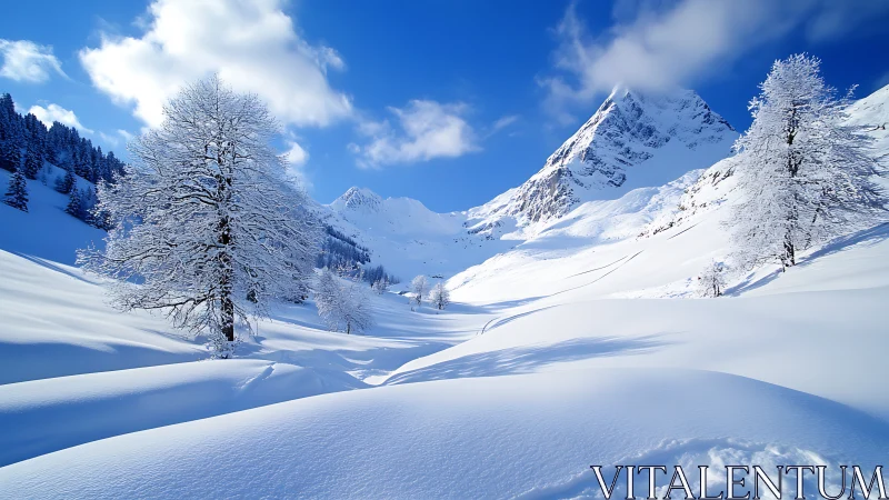 Snowy alpine valley frames sharp mountain peak under sky