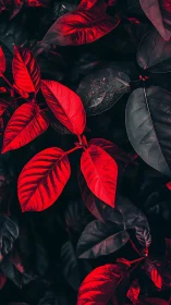 Red tropical leaves fill frame under dark moody lighting