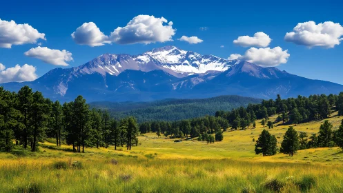 Snowcapped mountain ridge above sunlit pine valley