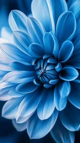 Blue Dahlia Macro Study with Precision Petal Architecture.