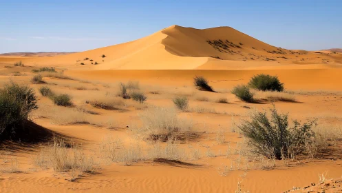 Desert sand dune with sparse shrubs under clear sky.