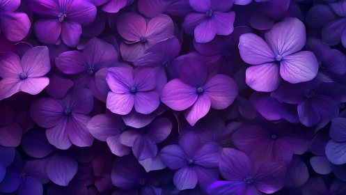 Vibrant Purple Flowers in Full Bloom.