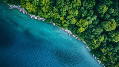 Forested Coastline with Rocky Shore and Turquoise Water.