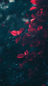 High-contrast red foliage rendered against deep teal bokeh field