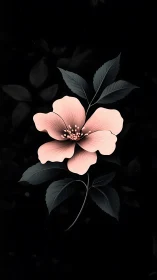Delicate Pink Bloom Against Dark Atmospheric Background
