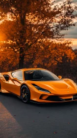 Orange sports coupe is parked on asphalt near autumn trees