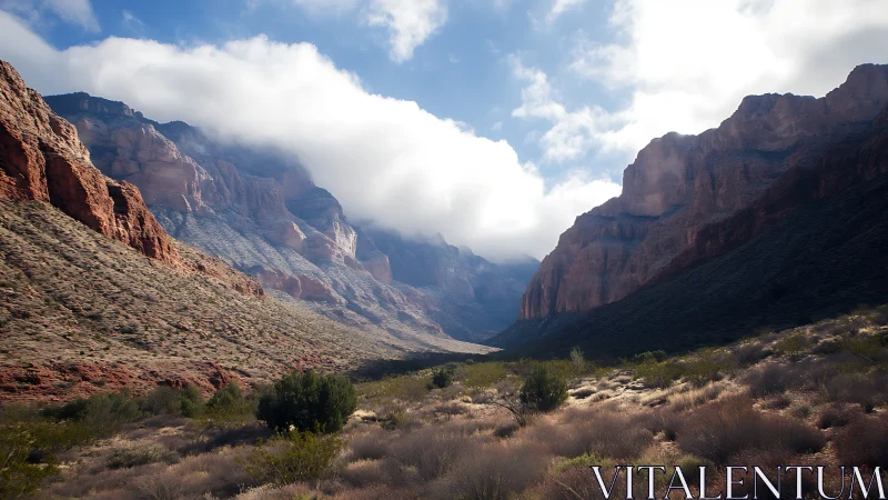 Layered desert canyon valley under low stratocumulus cloud bank
