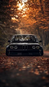 Classic black car rests under a glowing autumn forest canopy