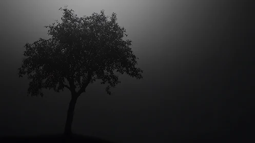 Solitary tree silhouette under soft diffused moonlight.