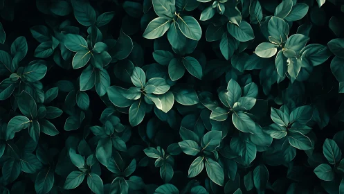 Emerald foliage canopy with soft vignette and tonal depth.