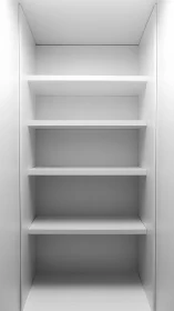 Quiet white shelves inviting new stories and simple order.