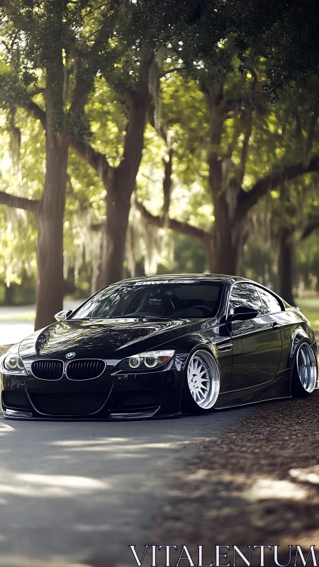 Stanced black BMW coupe glides under dappled forest light.