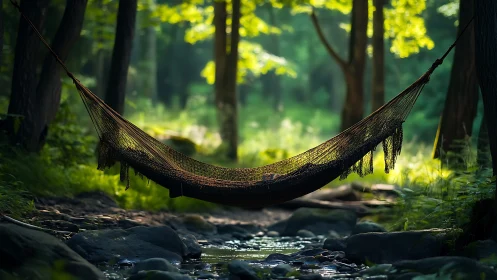 Hammock Suspended Over Forest Stream. Tranquil Woodland Retreat.