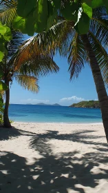 Tropical Beach Paradise Framed by Swaying Palms.
