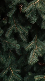 Evergreen needles quietly weave a forest of winter whispers