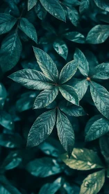 Gentle teal leaves inviting a quiet moment of calm reflection.