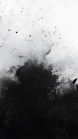 Inkstorm bloom between shadowed void and pale silence.