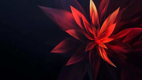 Radial red fractal petals unfold over deep black ground
