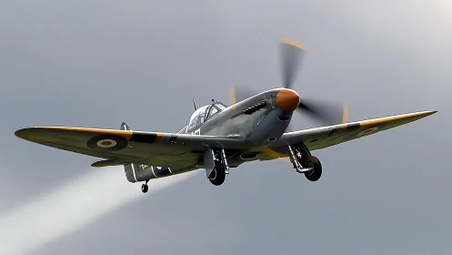 Historic propeller warplane soars steadily through grey sky