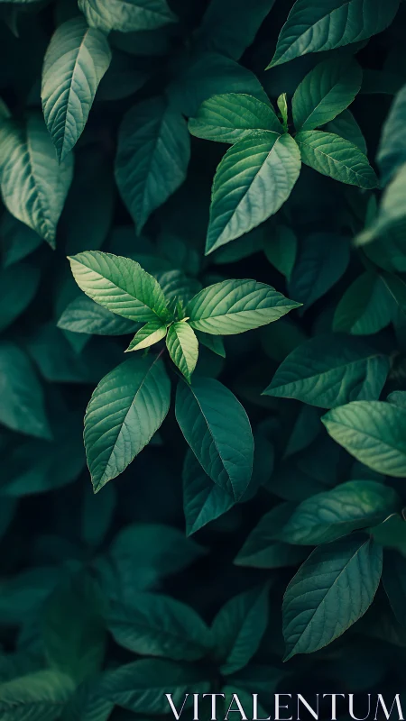 Emerald foliage study with selective focus and moody contrast.