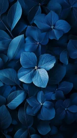 Blue Hydrangea Petals: Volumetric Botanical Study with Translucent Layered Structure