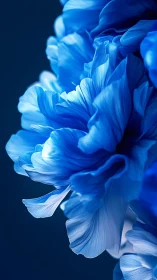 Blue Parrot Tulip Petals Unfurling Against Textured Backdrop