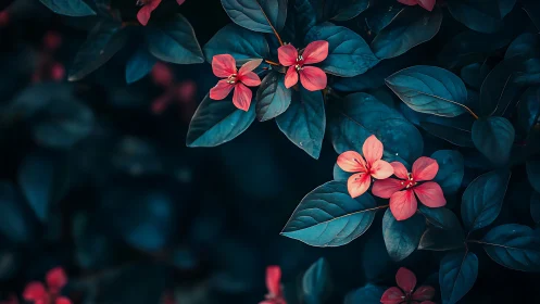 Deep teal foliage with small coral flowers in focus.