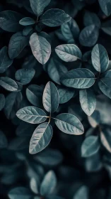 Soft dusk leaves floating in quiet midnight hues.